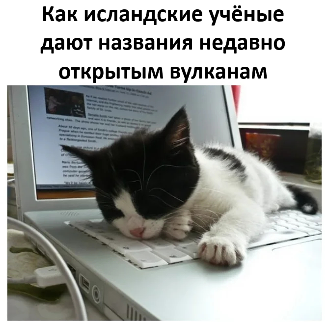 Большой сборник прикольных Картинок