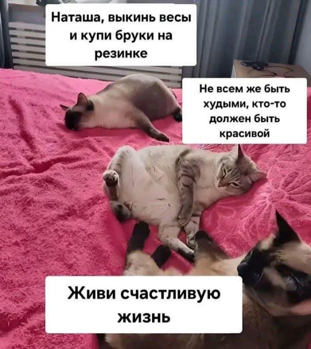 Большой сборник юмора где Мемы выходят на новый Уровень Большой сборник юмора где Мемы выходят на новый Уровень native-yes