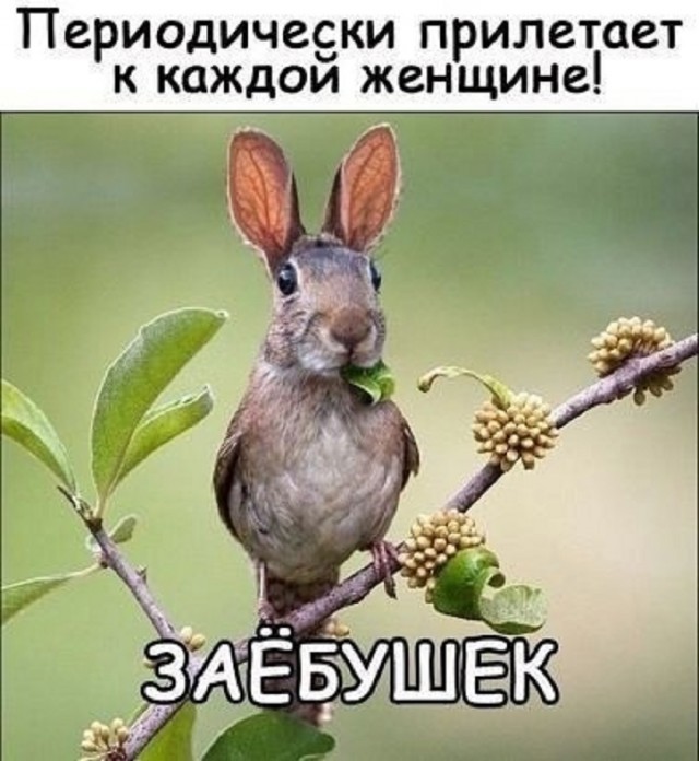 Новые шутки на выходные native-yes