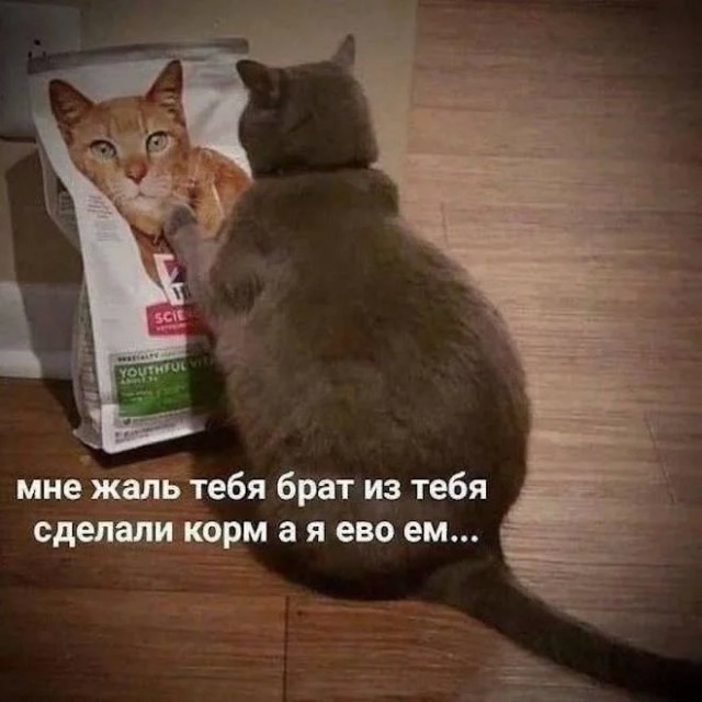 Свеженькие мемы как вы любите Свеженькие мемы как вы любите native-yes