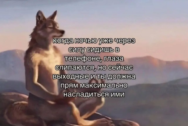 Смешные мемы и приколы с Надписями на выходные native-yes