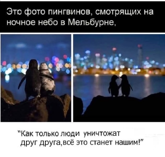 Самые лучшие мемы и прикольные картинки native-yes