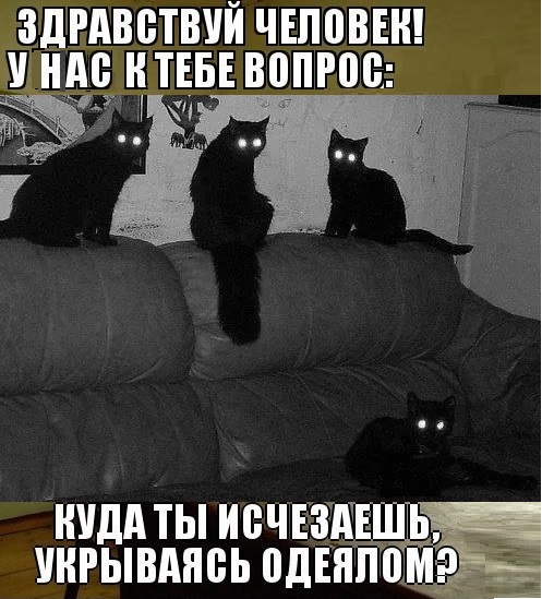 Свежие мемы чтобы убить время native-yes