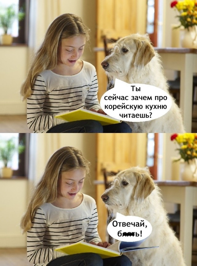 Большой сборник прикольных Картинок Большой сборник прикольных Картинок native-yes