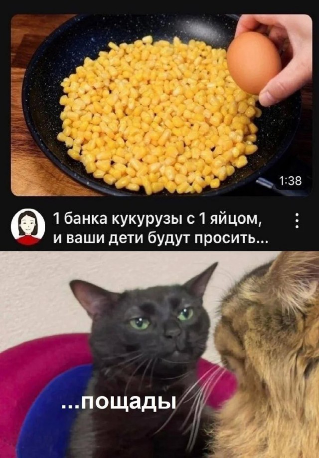 Смешные мемы и приколы с Надписями на выходные native-yes