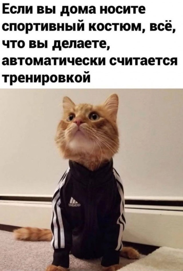 Большой сборник юмора где Мемы выходят на новый Уровень Большой сборник юмора где Мемы выходят на новый Уровень native-yes