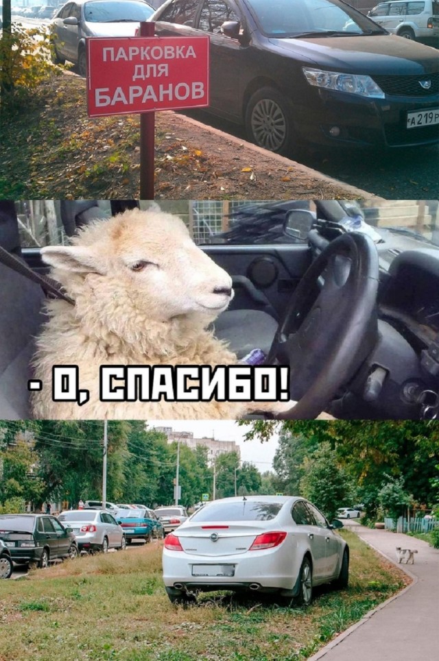 Новые шутки на выходные native-yes