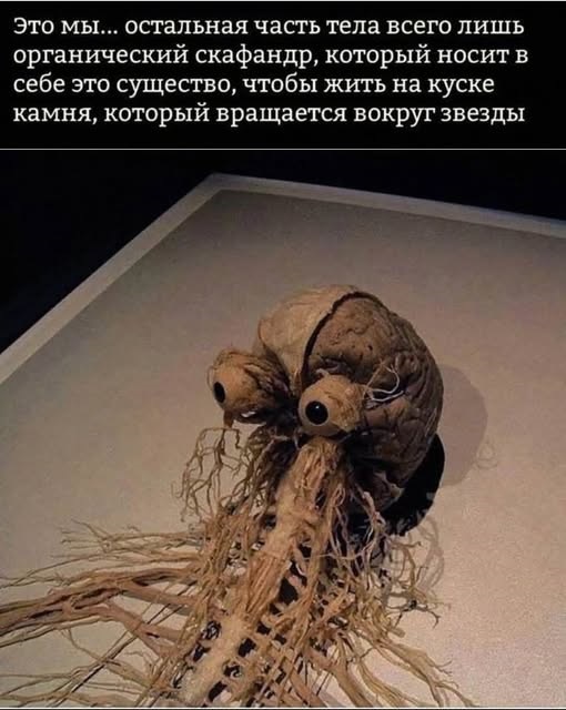 Подборка увлекательных Картинок с надписями native-yes