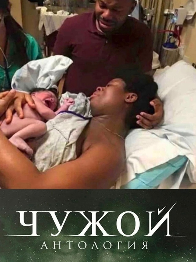 Смешные картинки и мемы для начала Дня native-yes
