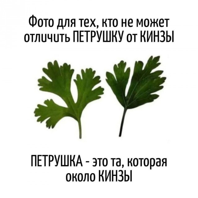 Веселые мемы и забавные картинки на Пятницу Веселые мемы и забавные картинки на Пятницу native-yes