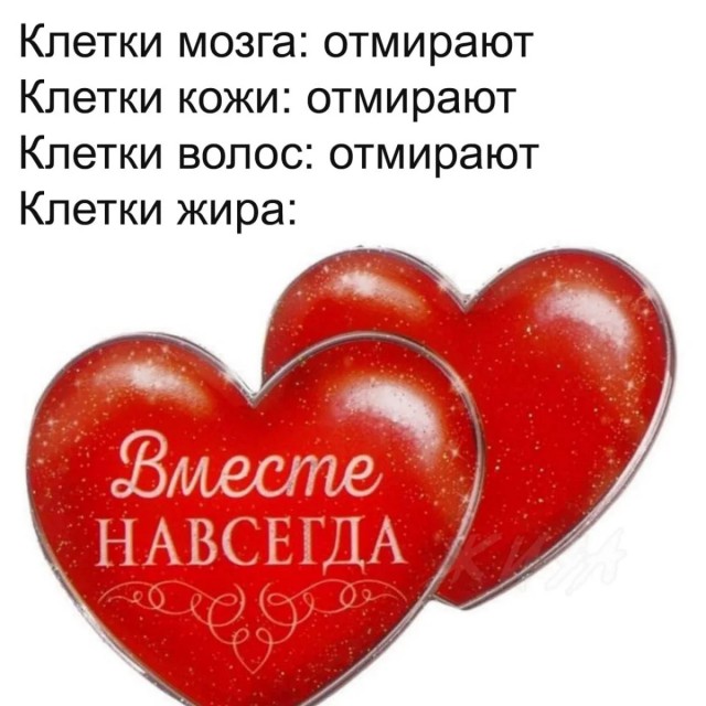 Смешные мемы и приколы с Надписями на выходные native-yes