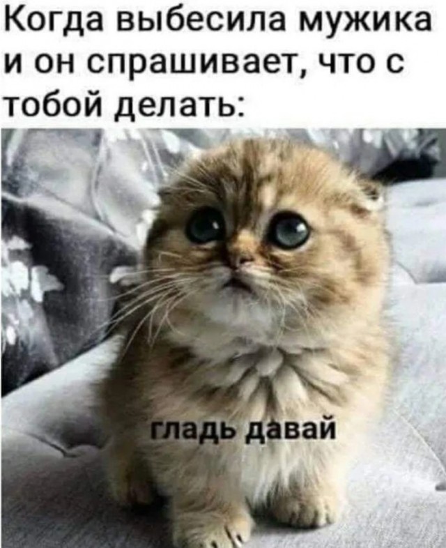 Свеженькие мемы как вы любите Свеженькие мемы как вы любите native-yes