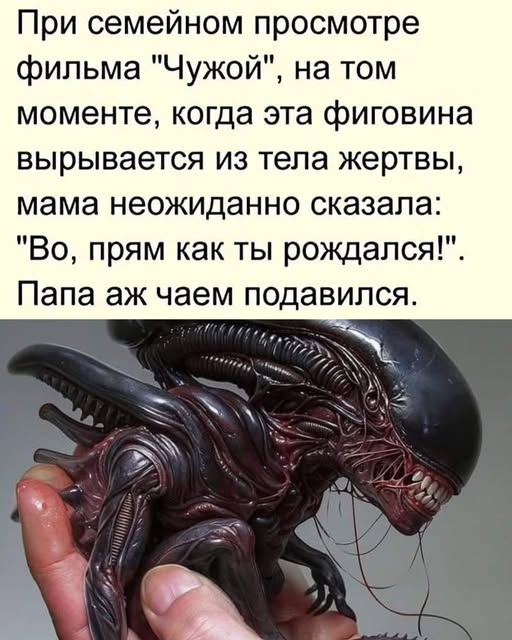 Подборка увлекательных Картинок с надписями native-yes