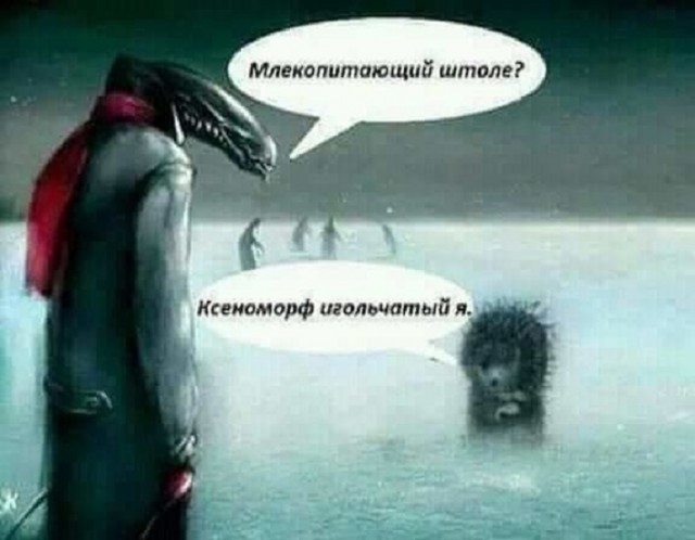 Свежие мемы чтобы убить время native-yes