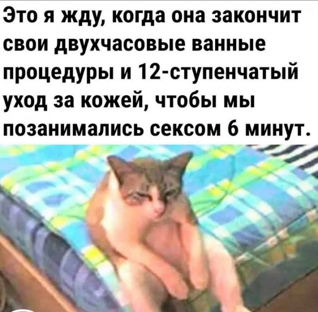 Подборка увлекательных Картинок с надписями native-yes