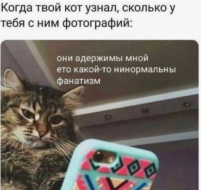 Смешная подборка Мемов на выходные Смешная подборка Мемов на выходные native-yes