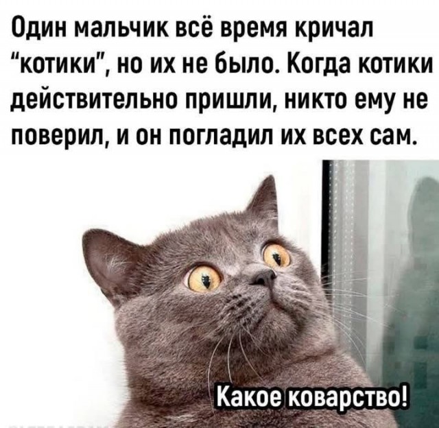 Смешные мемы и приколы с Надписями на выходные native-yes