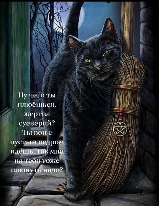 Картинки с лучшими шутками на выходные Картинки с лучшими шутками на выходные native-yes