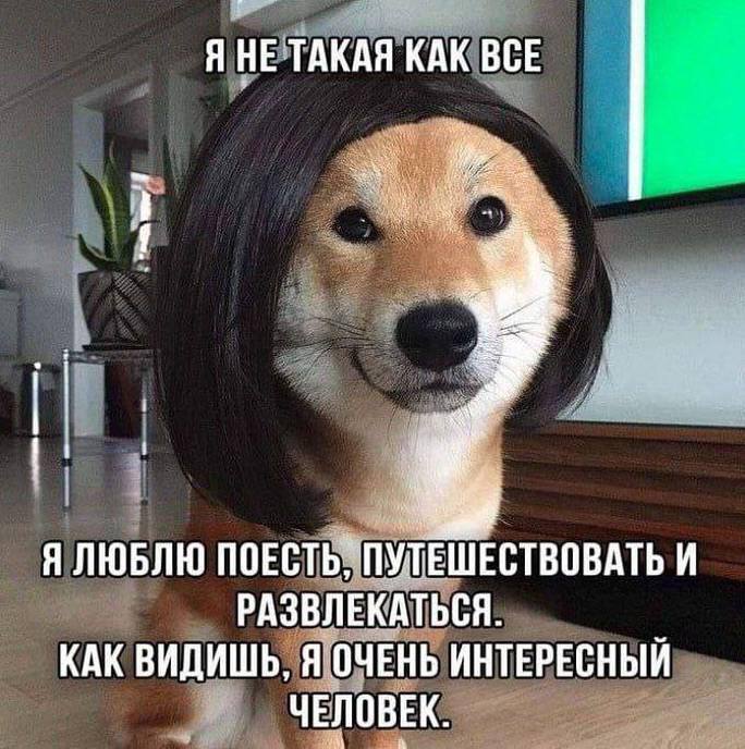 Большой сборник юмора где Мемы выходят на новый Уровень Большой сборник юмора где Мемы выходят на новый Уровень native-yes