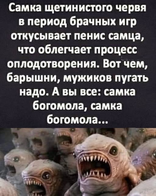 Подборка увлекательных Картинок с надписями native-yes