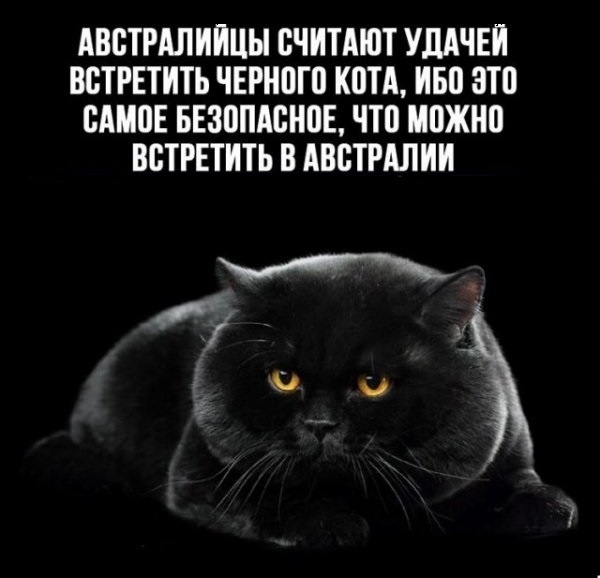 Новые шутки на выходные native-yes
