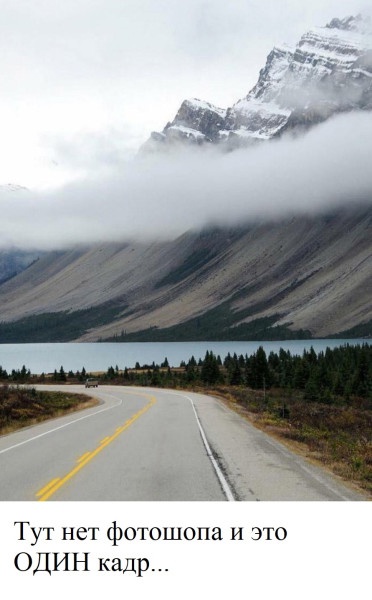 Подборка увлекательных Картинок с надписями native-yes