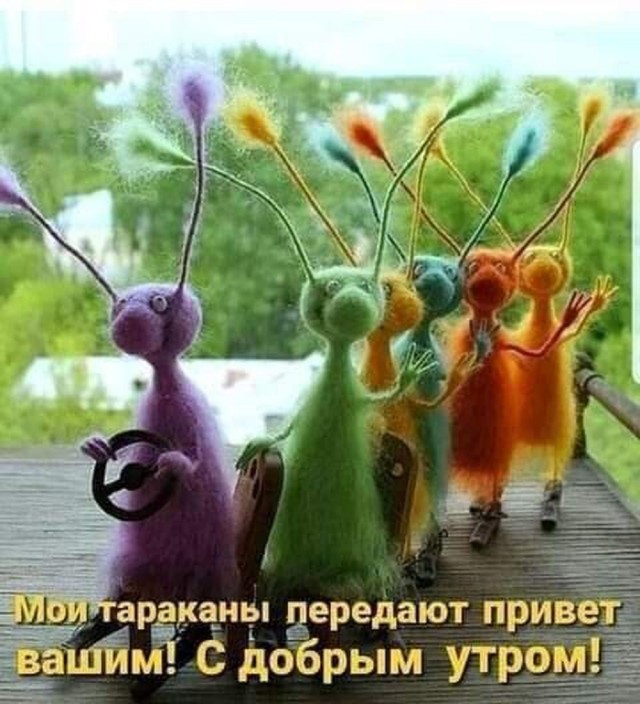 Большой сборник юмора где Мемы выходят на новый Уровень Большой сборник юмора где Мемы выходят на новый Уровень native-yes