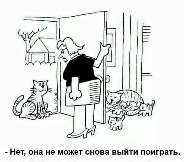 Свежие мемы чтобы убить время native-yes
