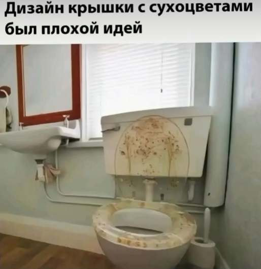 Большой сборник Мемов и смешных картинок native-yes