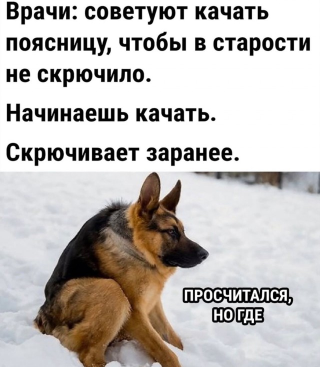 Большой сборник юмора где Мемы выходят на новый Уровень Большой сборник юмора где Мемы выходят на новый Уровень native-yes