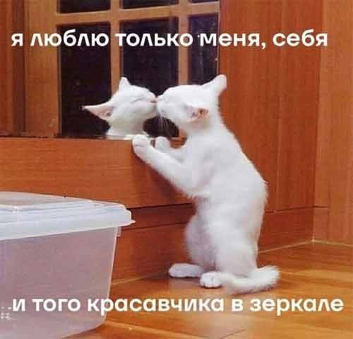 Порция смешных картинок с надписями в пятницу Порция смешных картинок с надписями в пятницу native-yes