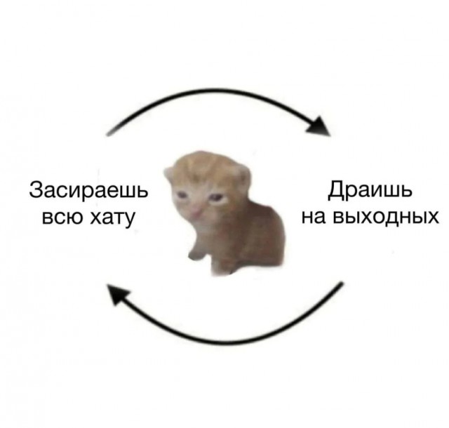 Смешные мемы и приколы с Надписями на выходные native-yes