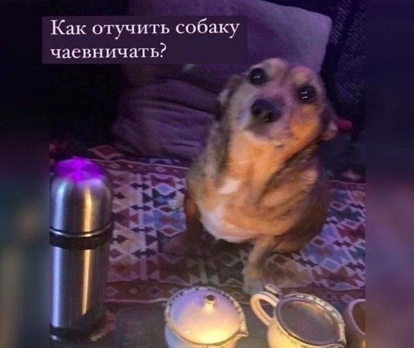 Большой сборник Мемов и смешных картинок native-yes