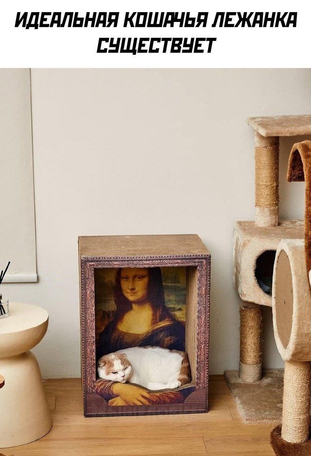 Подборка самых позитивных Мемов и Прикольных картинок на выходные native-yes