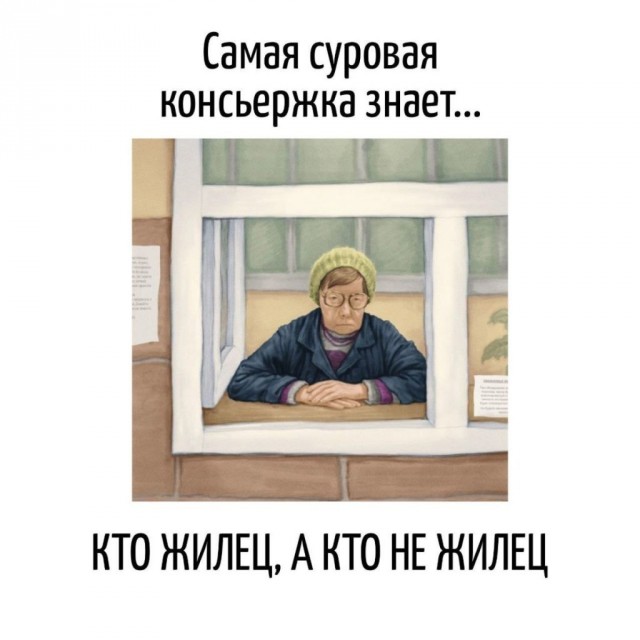 Смешные картинки для старта недели Смешные картинки для старта недели native-yes