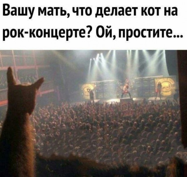 Смешные картинки и мемы для начала Дня native-yes