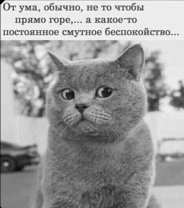 Большой сборник юмора где Мемы выходят на новый Уровень Большой сборник юмора где Мемы выходят на новый Уровень native-yes