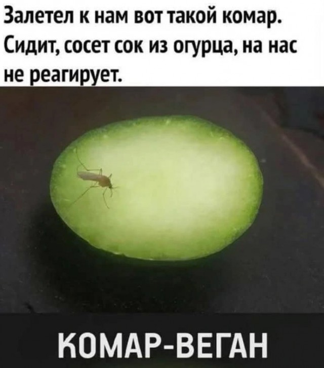 Большой сборник юмора где Мемы выходят на новый Уровень Большой сборник юмора где Мемы выходят на новый Уровень native-yes