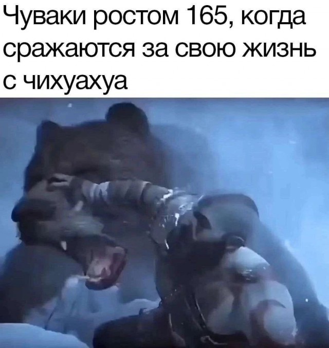 Веселые мемы и забавные картинки на Пятницу Веселые мемы и забавные картинки на Пятницу native-yes