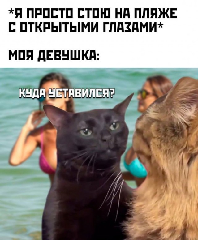 Веселые мемы и забавные картинки на Пятницу Веселые мемы и забавные картинки на Пятницу native-yes