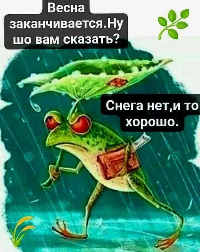 Новые шутки на выходные native-yes