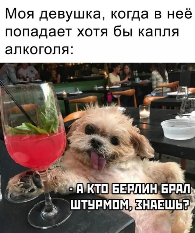 Подборка новых и смешных мемов на понедельник Подборка новых и смешных мемов на понедельник native-yes