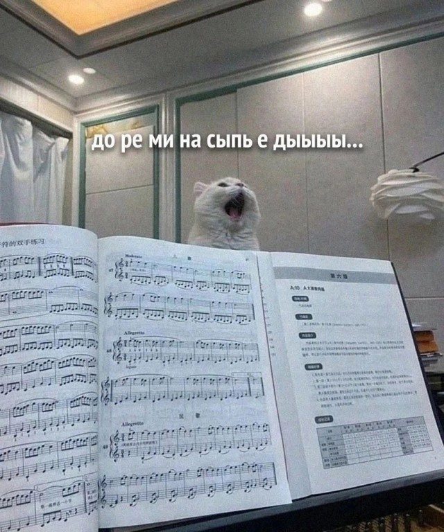 Картинки с лучшими шутками на выходные Картинки с лучшими шутками на выходные native-yes