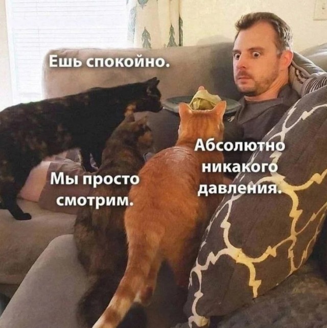 Картинки с лучшими шутками на выходные Картинки с лучшими шутками на выходные native-yes