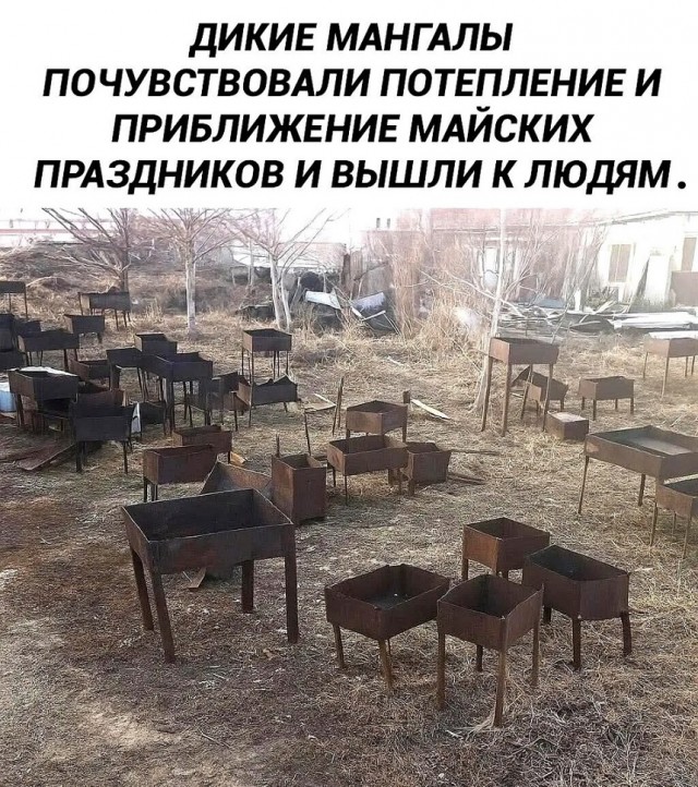 Картинки с лучшими шутками на выходные Картинки с лучшими шутками на выходные native-yes