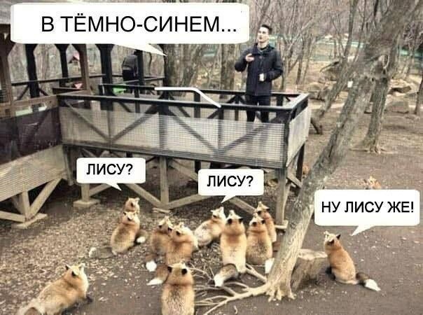 Подборка увлекательных Картинок с надписями native-yes