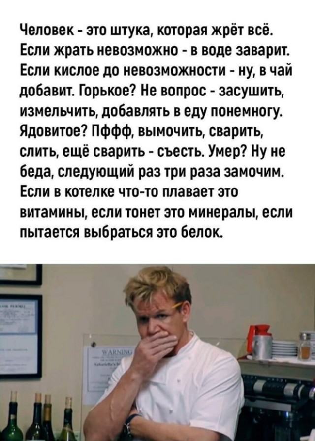 Смешные картинки для старта недели Смешные картинки для старта недели native-yes