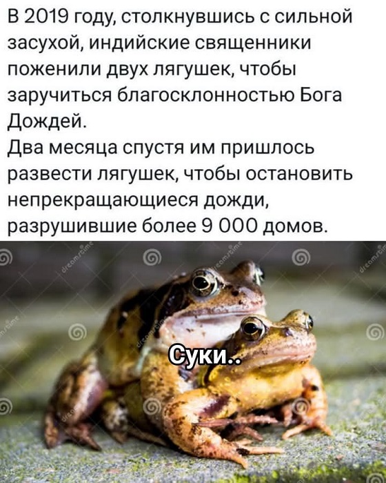 Большой сборник прикольных Картинок Большой сборник прикольных Картинок native-yes