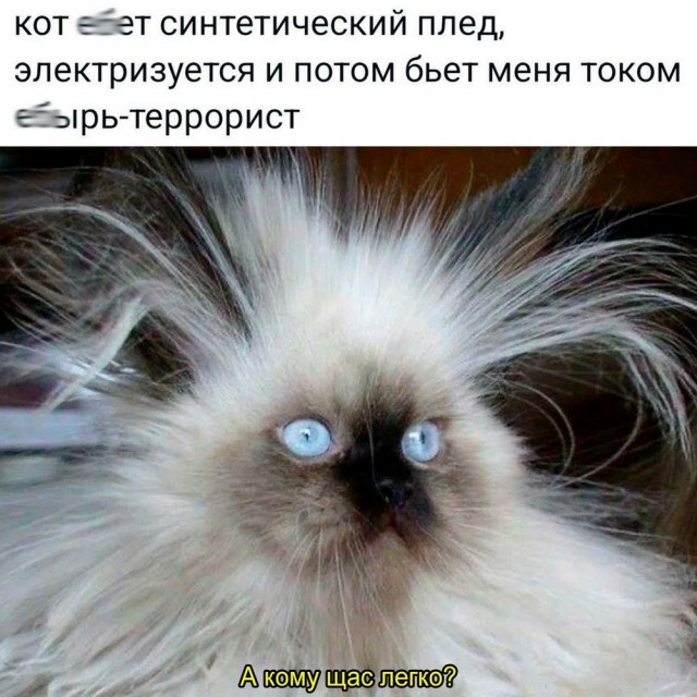 Свежие мемы чтобы убить время native-yes