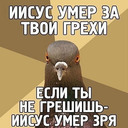 Большой сборник прикольных Картинок Большой сборник прикольных Картинок native-yes